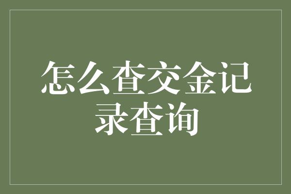 怎么查交金记录查询