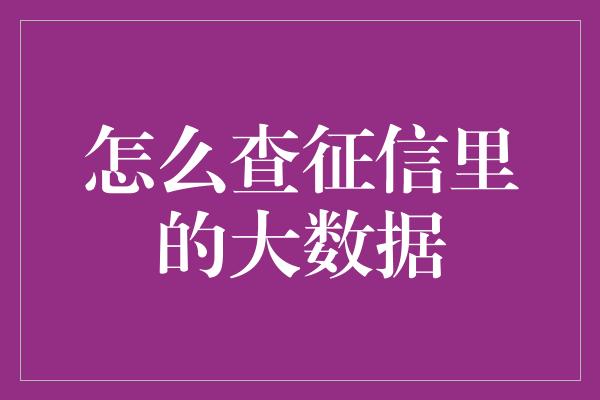 怎么查征信里的大数据