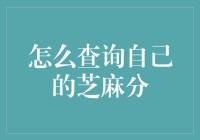 如何查询自己的芝麻分：探索信用评估的新方式