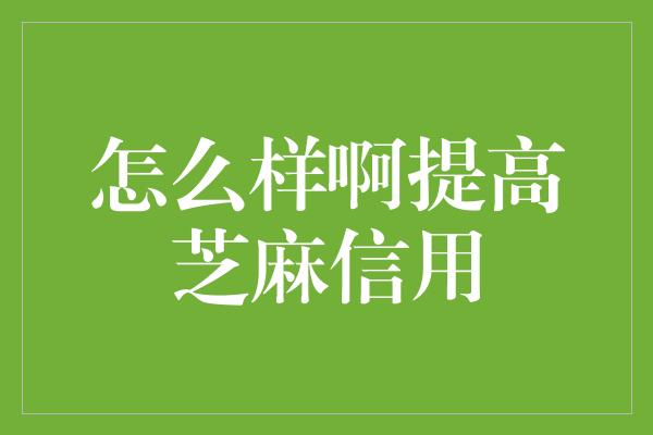 怎么样啊提高芝麻信用