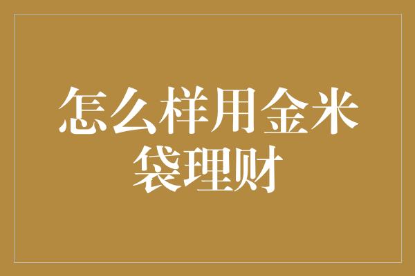 怎么样用金米袋理财