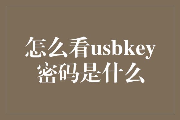 怎么看usbkey密码是什么