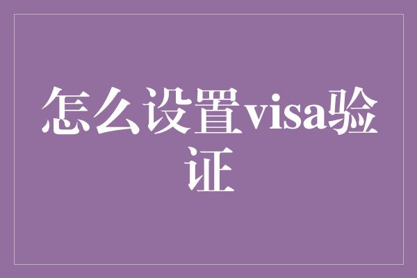 怎么设置visa验证