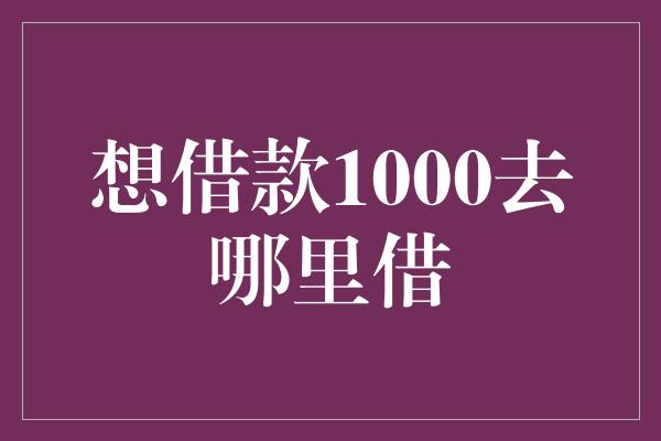 想借款1000去哪里借