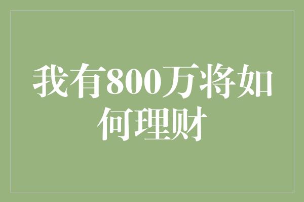 我有800万将如何理财