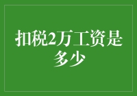 扣税2万元后的工资收入分析