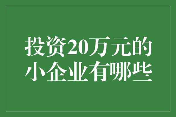 投资20万元的小企业有哪些