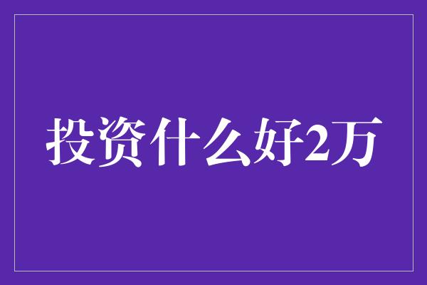 投资什么好2万