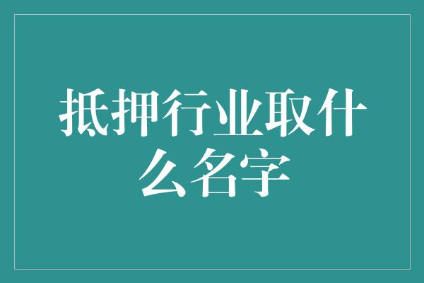 抵押行业取什么名字