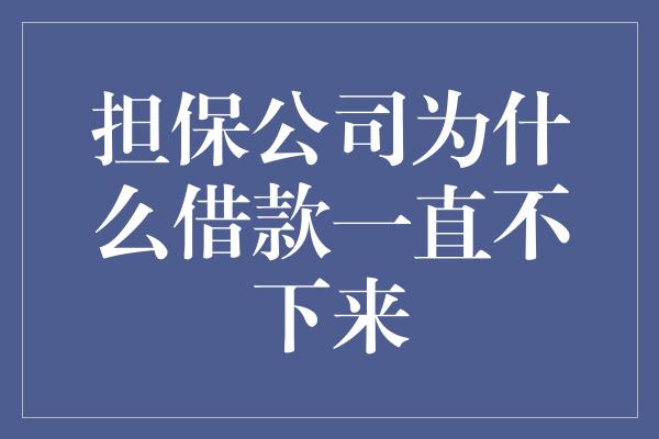 担保公司为什么借款一直不下来