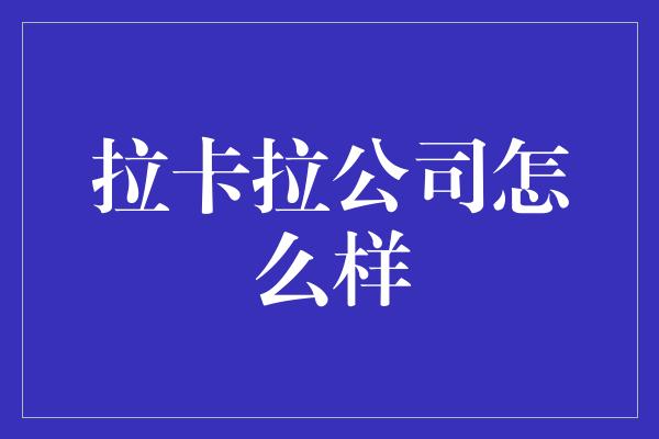 拉卡拉公司怎么样