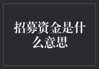 招募资金：为创新项目寻找光明未来的战略指南