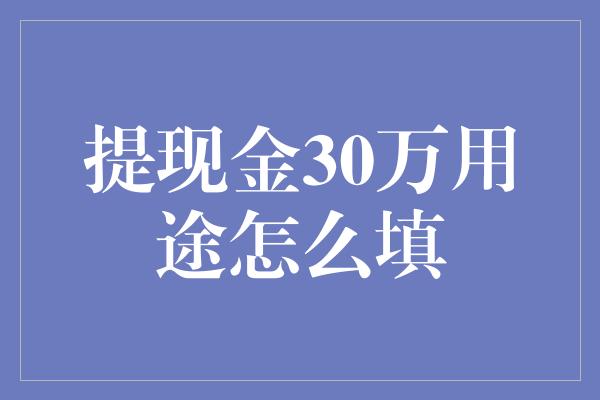 提现金30万用途怎么填