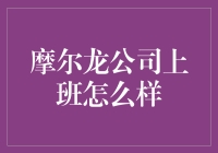 摩尔龙公司：求职者眼中的理想工作地？——深度解析摩尔龙公司工作环境与文化