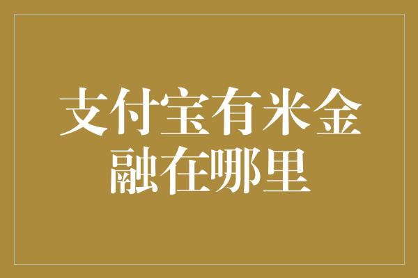 支付宝有米金融在哪里