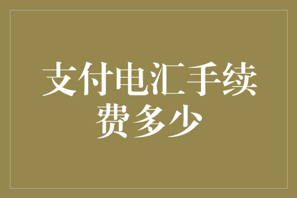 支付电汇手续费多少