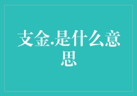 当代网络语言：支金的含义与解析