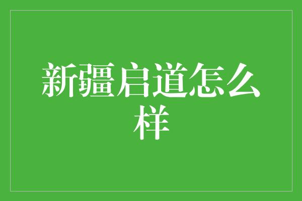 新疆启道怎么样