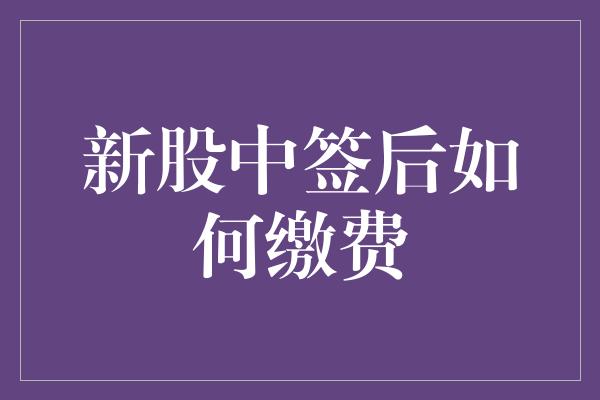 新股中签后如何缴费