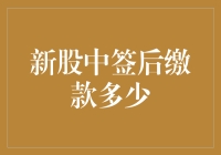 新股中签后缴款金额解析：理解新股申购的下一个步骤