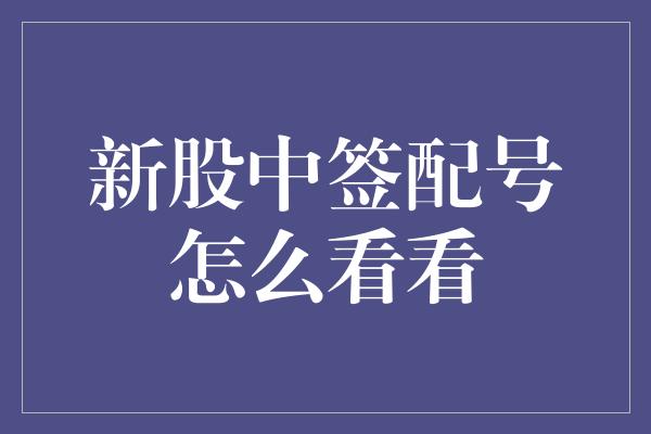 新股中签配号怎么看看