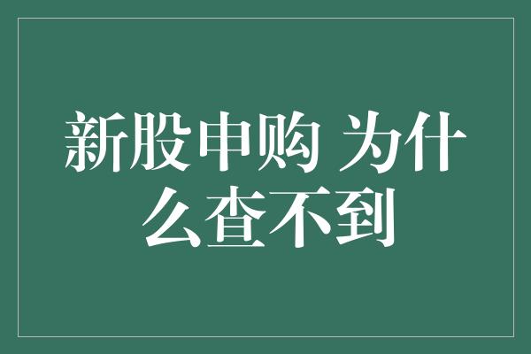 新股申购 为什么查不到