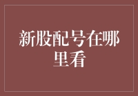 新股配号在哪里看？深入了解新股申购流程与查询方法