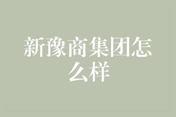 新豫商集团怎么样