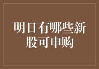 今日新股申购攻略：明日可申购的新股大公开