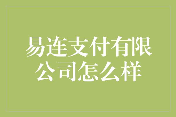 易连支付有限公司怎么样