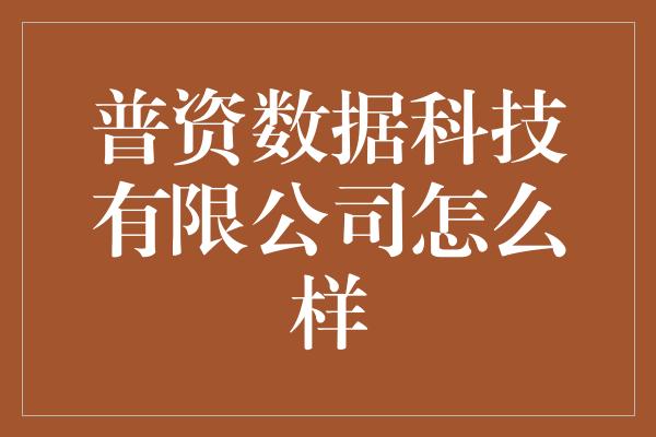 普资数据科技有限公司怎么样