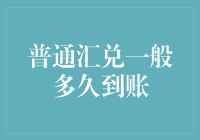 普通汇兑到账速度解析：影响因素及其应对策略