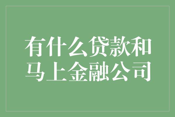 有什么贷款和马上金融公司