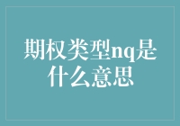 期权类型NQ：一个令人眼花缭乱的投资工具探析