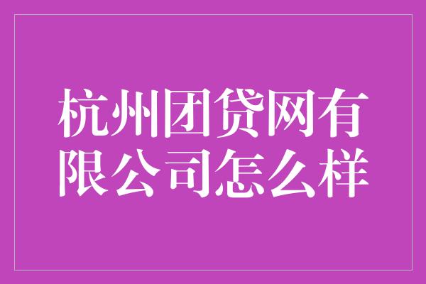 杭州团贷网有限公司怎么样