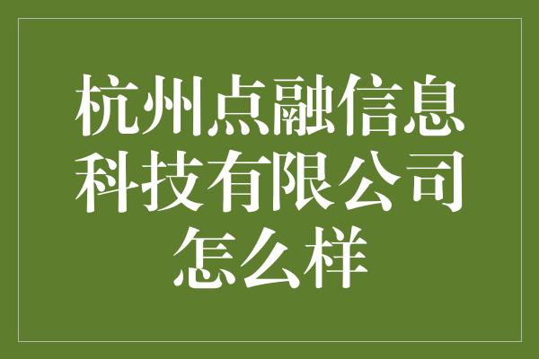 杭州点融信息科技有限公司怎么样