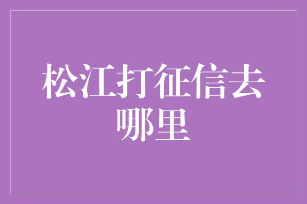 松江打征信去哪里