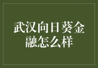 揭秘！武汉向日葵金融的真实体验