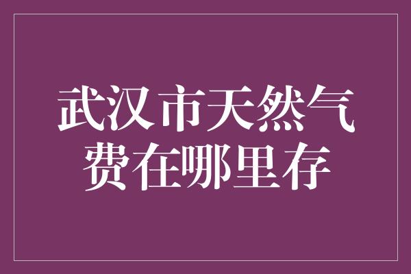 武汉市天然气费在哪里存