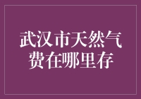 搞定天然气费：武汉市市民的自助存钱指南