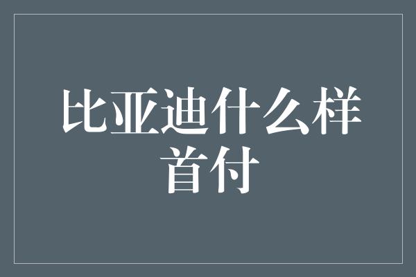 比亚迪什么样首付