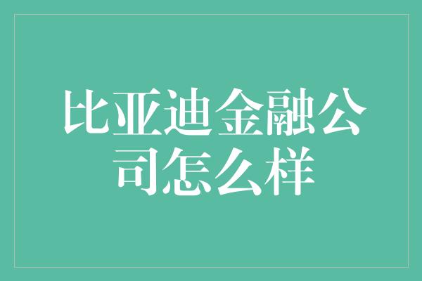 比亚迪金融公司怎么样