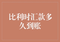 比利时汇款到账时效研究：从账户到账户的金融旅行