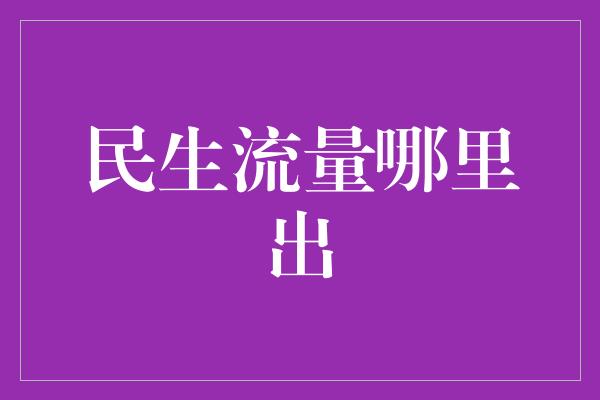 民生流量哪里出