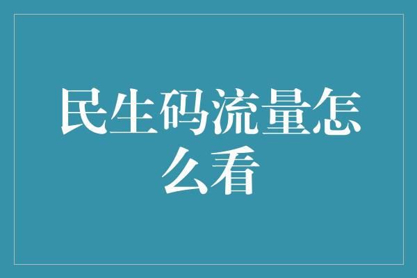 民生码流量怎么看