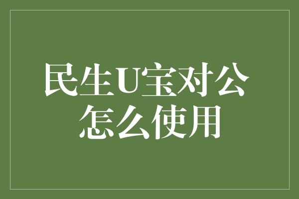 民生U宝对公 怎么使用