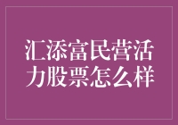 汇添富民营活力股票：挖掘成长潜力的明智选择