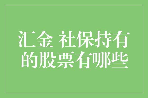 汇金 社保持有的股票有哪些