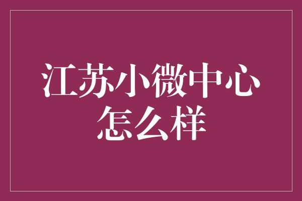 江苏小微中心怎么样