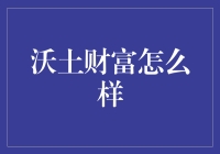 洞察沃土财富：金融服务的创新典范与考量